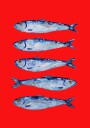 Sardines Berry Red Plakat Plakat / 21x30cm