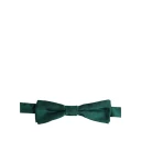 Dolce & Gabbana Herre Accessories Grønn ONE SIZE,