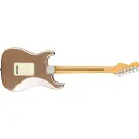 Fender Am Pro Clsc Strat MN FFMG