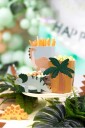 DIY Dinosaur Party 6 Stk Bokser til Snacks