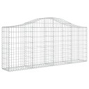 vidaXL Gabionkurver buede 20 stk 200x30x80/100 cm galvanisert jern