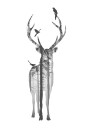Deer And Birds Plakat Plakat / 70x100cm