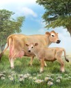 Collecta Jersey Calf