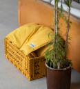 Aykasa Maxi Folding Box Almond Green