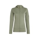 Icebreaker Women"s Merino 260 Quantum Iv Longsleeve Zip Hoodie S