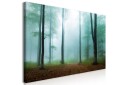 Tavle Misty Morning 1 Part Wide 120X60 Artgeist sp. z o. o.