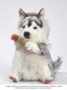 Husky Puppet | Hansa Creation