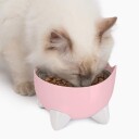 Catit Pixi Combo Sett Drikkefontene & Hevet Matskål Rosa