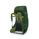 Osprey Kids" Ace 38 Green Canopy/matcha Green