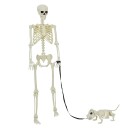  Halloween Dekorasjon Skjelett 2 pcs Hvit 155 x 38.5 cm