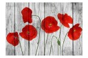 Fototapet Tale Of Red Poppies 300x210 - Artgeist sp. z o. o.