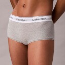 Calvin Klein Icon hipster truse grå Størrelse: XL Kvinner