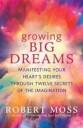 Growing Big Dreams Av Robert Moss