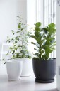 Wikholm Form Sophia Floor Pot 3 pakning Hvit