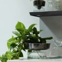 Lsa International Canopy Selvvannende Plantekasse 14,5 cm