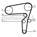 Registerrem CONTITECH CT1105