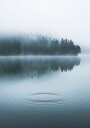 Water Ripples and Foggy Forest Plakat Plakat / 100x150cm