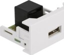 Delock Easy 45 USB trykklåsmodul hvit