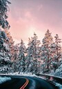 Winter Winding Road Plakat Plakat / 100x150cm
