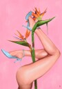 Blue Heels Bird Paradise Plakat / 40x50