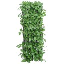 vidaXL Utvidbart espalier med kunstig eføy grønn 180x65 cm