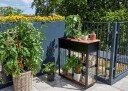 Juliana Urban Vertical Drivhus Herdet Glass Sort 0,31 m²