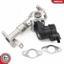 EGR Ventil ESEN SKV 14SKV287