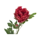 EUROPALMS Peony Branch Classic magenta 80cm