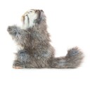 Hånddukke Pallas Cat | Hansa Creation