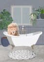 Lion takes a bath Poster Plakat / 70x100cm