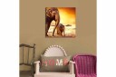 Canvasbilde Animal Flerfarget 44x54 cm