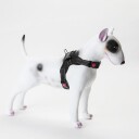 LEO-K9 hundesele i pustende air mesh materiale