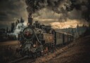 Gold digger train Plakat / 100x150cm