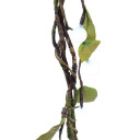 Europalms Heather Twine, With Leds White, 180cm