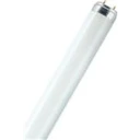 Solar T8 Lysrør 36W 840 LUMILUX 120cm