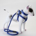 3 Delers Selesett Til Hund: Sele/Halsbånd/Kobbel
