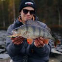 Rapala Floater Elite wobbler 8,5 cm GDP