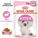 Royal Canin Kitten Gravy Kylling Våtfôr 85 g x 12 - Fullfôr til kattunger