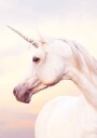 Unicorn Portrait Plakat Plakat / 40x50cm