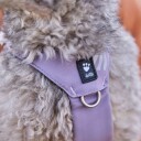 Hurtta Seeker Hundesele Lavendel 45 60