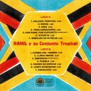Galaxia Tropical Vinyl