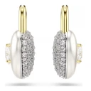 Swarovski Dame Accessories Grå ONE SIZE,