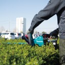 MAKITA HEKKSAKS DUH523Z 18V