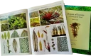 Mosses of Europe