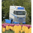 Fox Parts Solskjerm DAF XF / XG 30cm Modell: Ingen topplys
