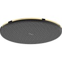 Hansgrohe Raindance Alive S takdusj, Ø30 cm, vannsparende, gull