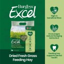 Burgess Excel Feeding Hay Tørket Ferskt Gress 1kg