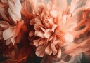 Petals in Motion Plakat Plakat / 21x30cm