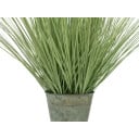 Europalms Ornamental Blooming Grass 70cm