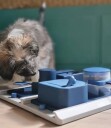 Poker Box 2 Level 3 Aktiviseringsleke Til Hund